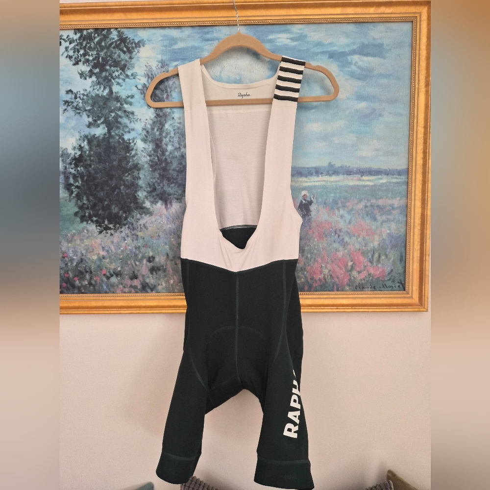 Pro Team Winter Bib Shorts